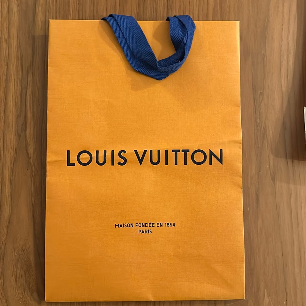 Louis Vuitton Shopping/Gift Bag